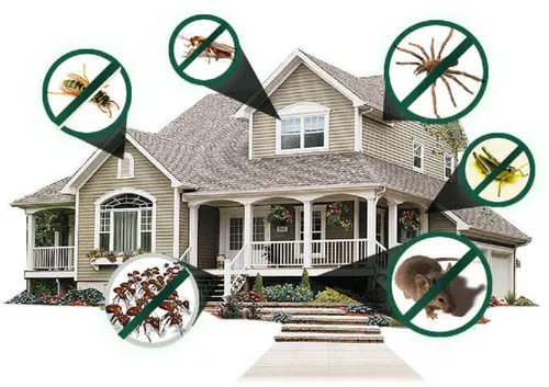 Residential Pest Control - Professional pest control service